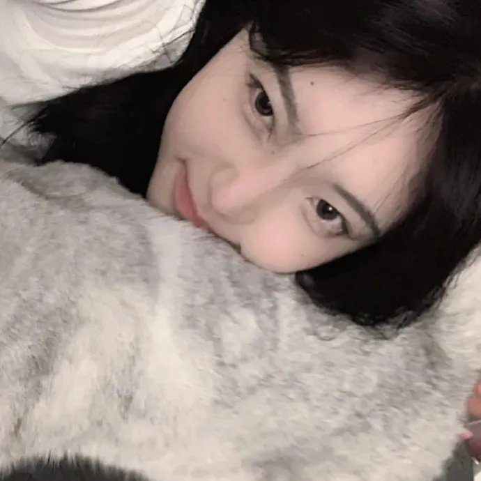 小狗波图